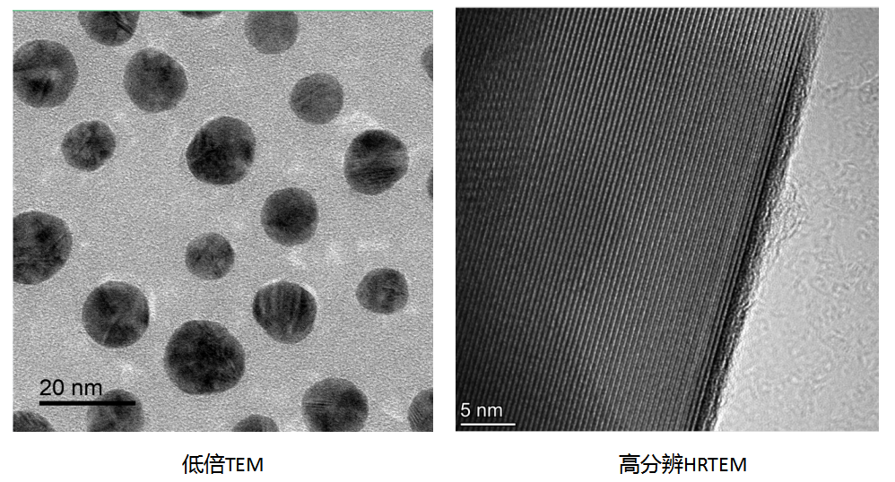 非磁性粉末/液体透射电镜(tem)